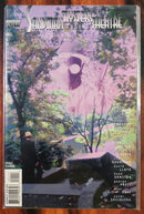 Sandman | DC & Marvel Original Comics from USA | Condition: Very Good