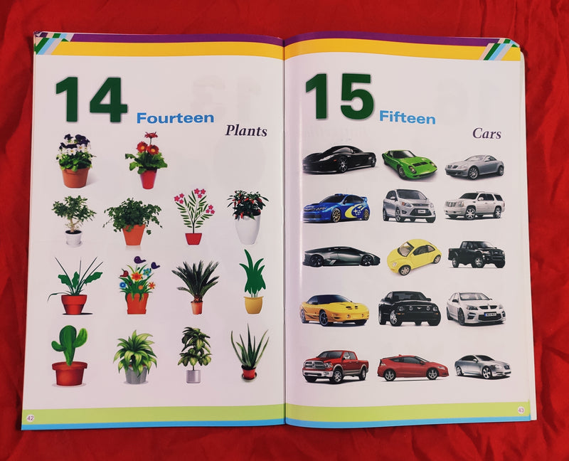 Alphabet, Numbers & Hindi | Set of 2 Books