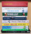 Mixed Set of 10 Books | Mixed Fiction Genre | Condition: Used Very Good | FREE Bookmarks | FREE Delivery