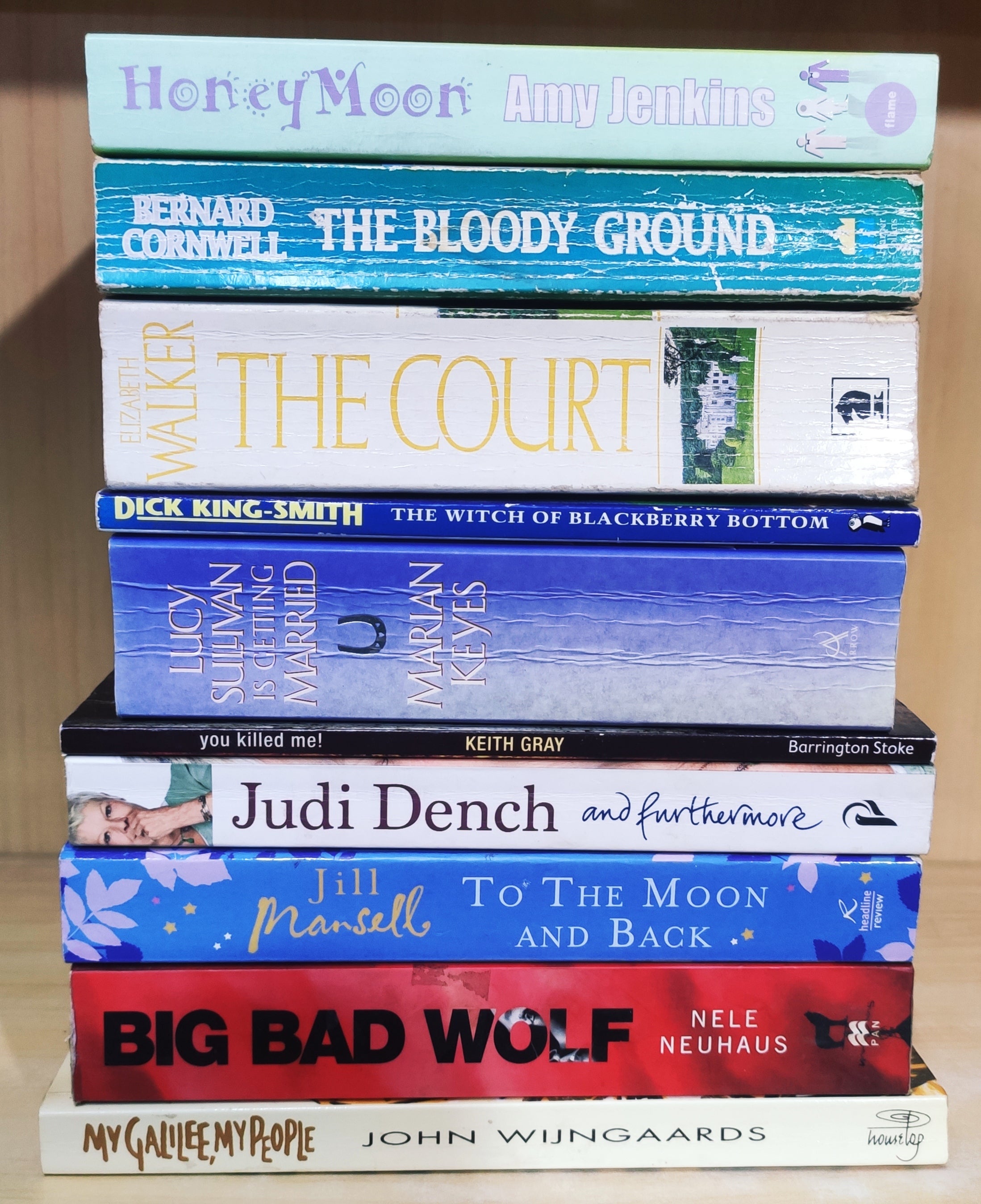 Mixed Set of 10 Books | Mixed Fiction Genre | Condition: Used Very Goo