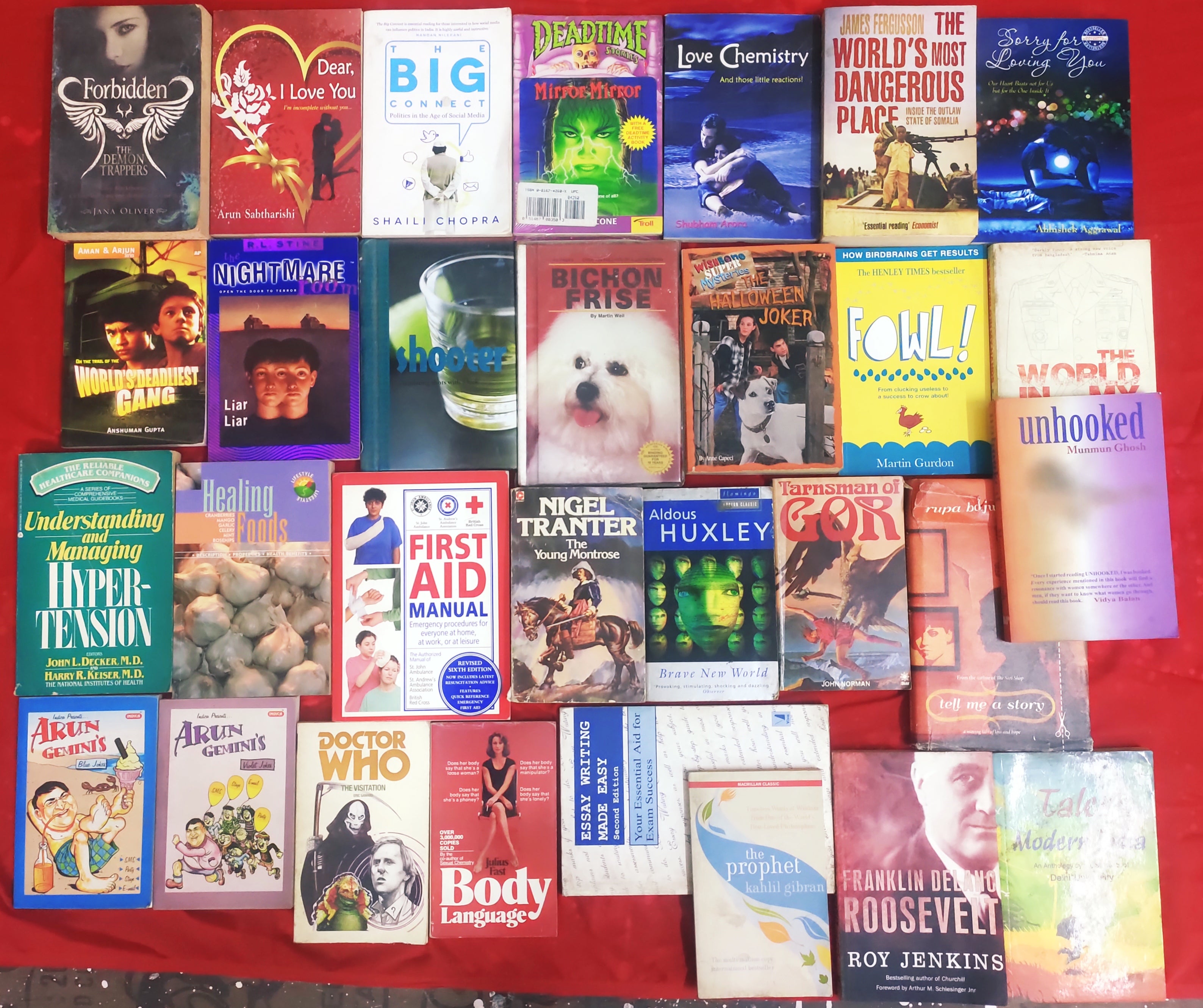 Mixed Lot of 30 Books | Mixed Genres | Condition: Used Good | FREE Boo