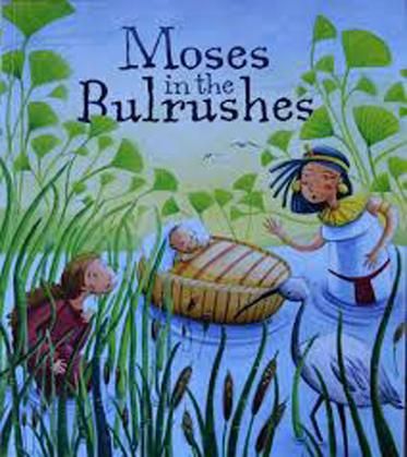 MOSES IN THE BULRUSHES by KATHERINE SULLY | Pub: | Pages: | Condition:Good | Cover:PAPERBACK