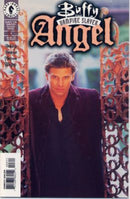 Buffy the Vampire Slayer: Angel The Hollower, Part 3 |  Issue