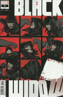 Black Widow, Vol. 9 I Am the Black Widow, Part 1 of 4 |  Issue