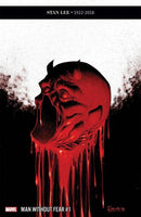 Man Without Fear  |  Issue