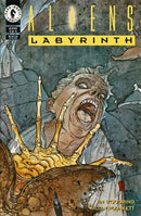 Aliens: Labyrinth Labyrinth |  Issue