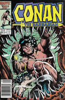 Conan the Barbarian, Vol. 1 The Crimson Brotherhood |  Issue
