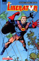 The Liberator Looking at a Memory |  Issue