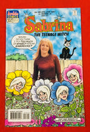 Archie Comics | Old-Vintage 1990s Comic Books | Condition: Very Good